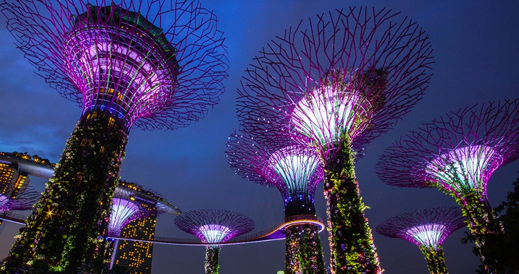 Singapore Marina bays supertrees